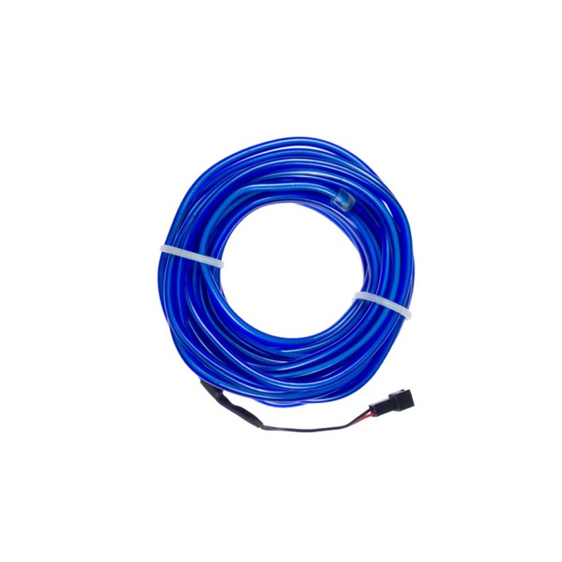 Neon flexiforme bleu