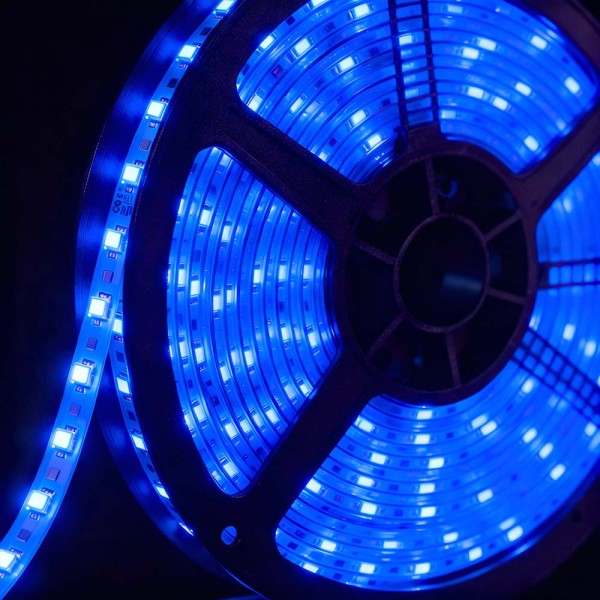 LED Strip 12V 60LED/m Blau Wasserdicht IP65 - 5m
