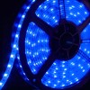 Ruban LED 12V 60LED/m Bleu Étanche IP65 – 5m