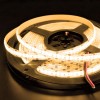 LED strip 12V Waterproof 2100lm/m Warm White 2800K - 2m50