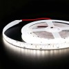 LED strip 12V 204LED/m Neutral White 4500K Powerful - 2m50