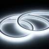 Ruban LED Néon Flexible 220V 2m Blanc Froid 6000K Étanche – Lumière Continue