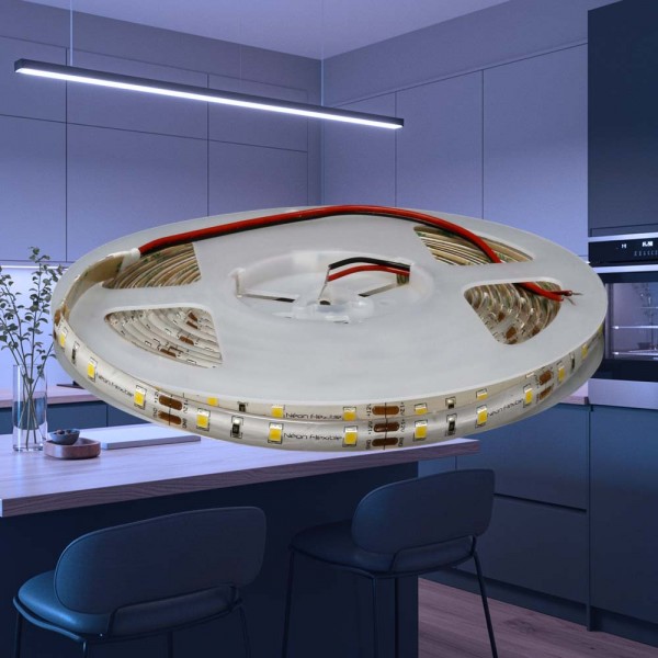 Tira LED 12V Resistente a la intemperie IP65 60LED/m Blanco Frío 6000K - 2m50