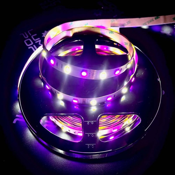 LED Strip RGBW 12V Mehrfarbig und Kaltweiß - 60LED/m - 2m50