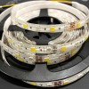 Tira LED RGBCCT 12V Multicolor + Blanco Variable Impermeable IP65 - 60LED/m - 2m50