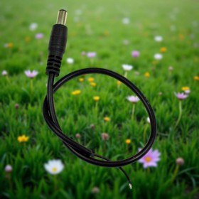 Connecteur LED jack mâle de 15cm